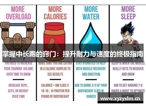 掌握中长跑的窍门：提升耐力与速度的终极指南