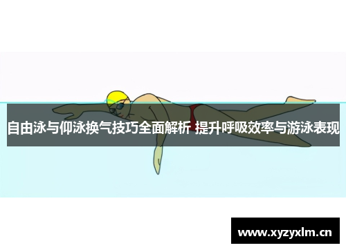 自由泳与仰泳换气技巧全面解析 提升呼吸效率与游泳表现